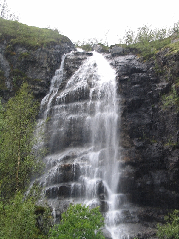 Original image